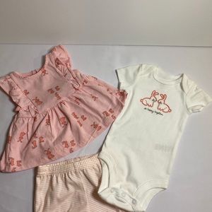 3 Piece Baby Girl Outfit (Carter’s) Size 12m